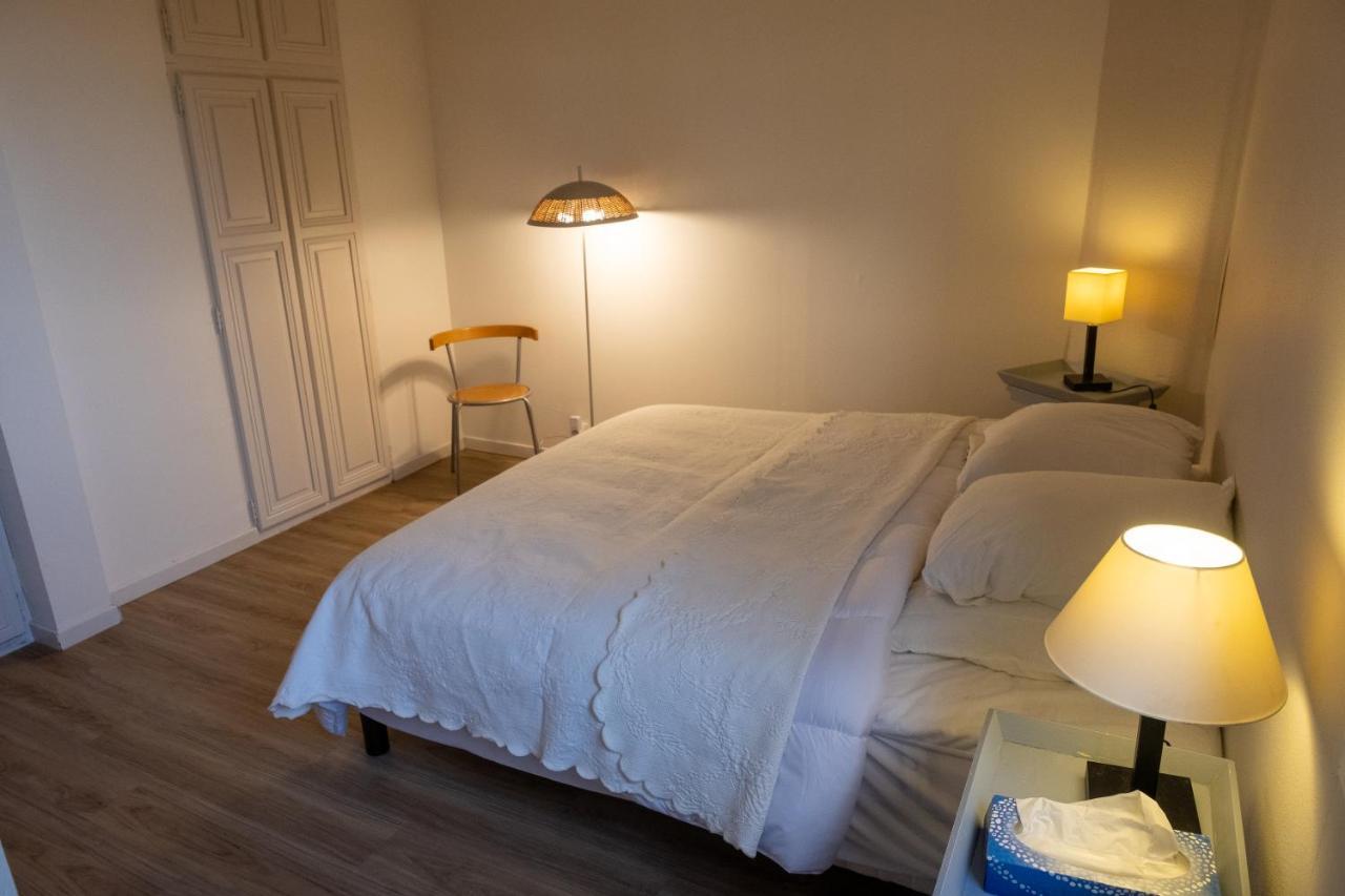 Appartement De Plain-Pied En Montagne Avec Vue Merveilleuse Sur Le Massif De Belledonne Saint Bernard du Touvet Εξωτερικό φωτογραφία